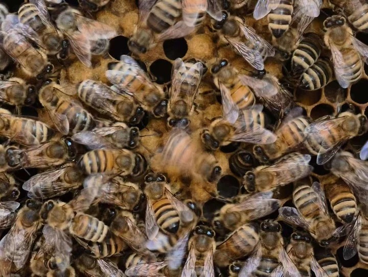 af65b0dbf72b00138d80fb460d20f4fd.jpg af65b0dbf72b00138d80fb460d20f4fd.jpg