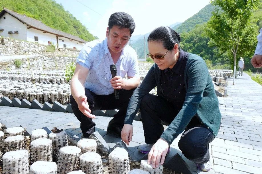 鍥撅細鍦ㄤ咕浣戣閬撹溅瀹舵渤鏉戯紝璧甸洴涓？瀵熺湅鏉戦噷鐨勬湪鑰崇妞嶅熀鍦般？