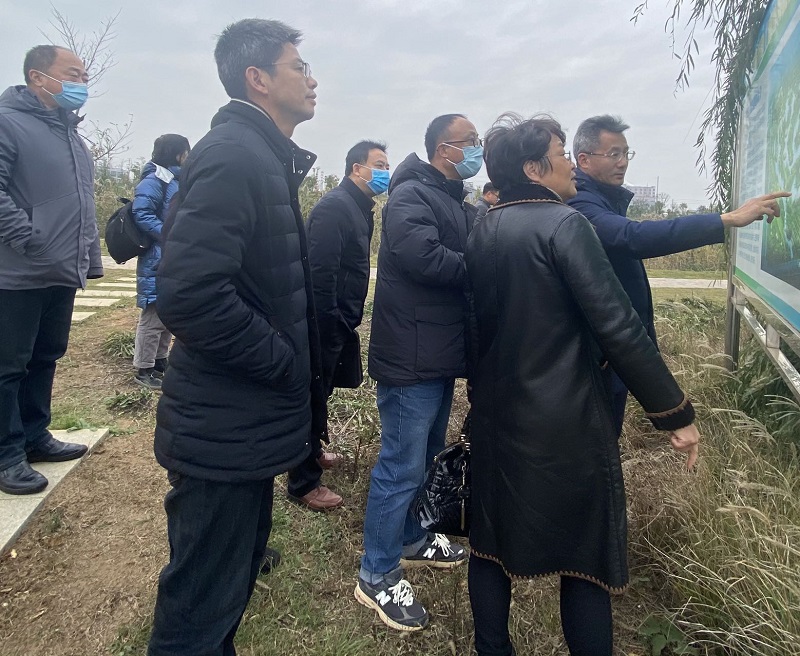 米乐m6九三学社铜陵市委员会开展长江（铜陵段）生态环境保护监督调研工作