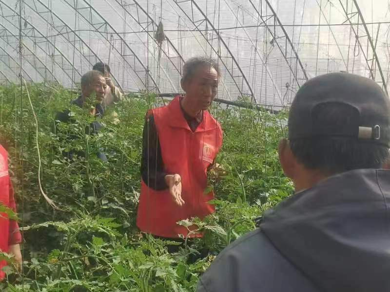 鍥剧墖1.png