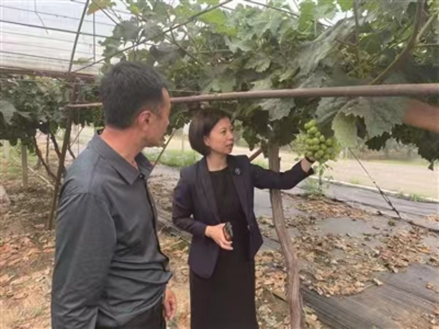 微信图片_20230920082642.jpg 微信图片_20230920082642.jpg