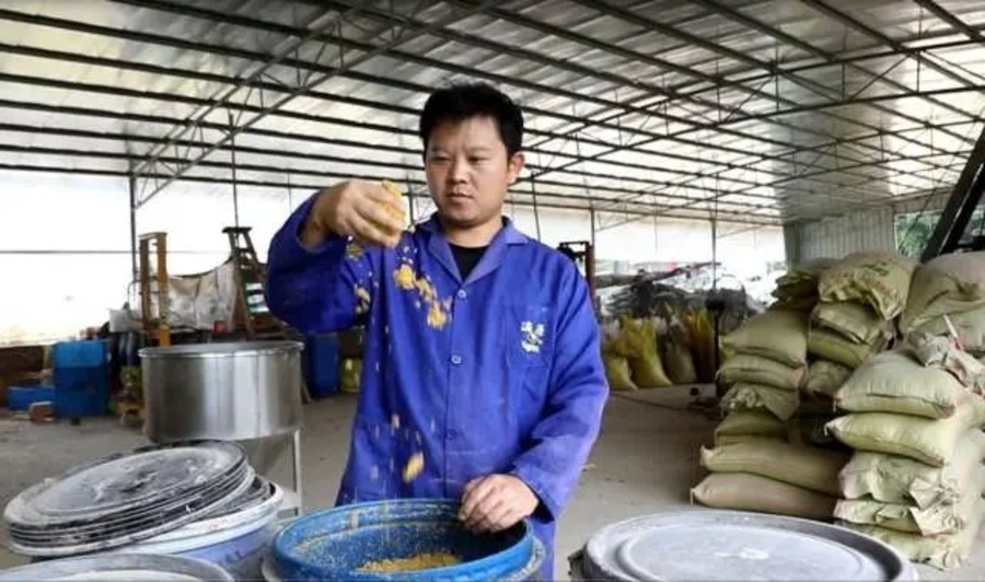 微信图片_20240305201532.jpg 微信图片_20240305201532.jpg