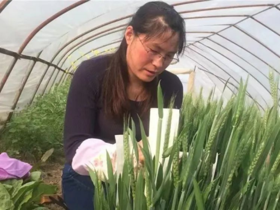 图片1.png 图片1.png