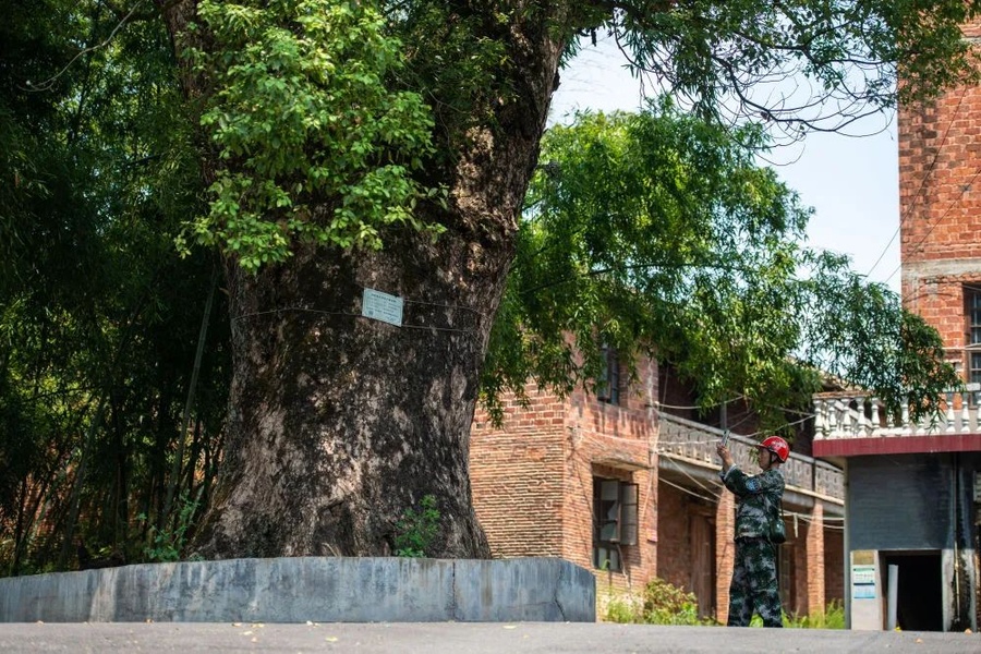 微信图片_20240310170726.jpg 微信图片_20240310170726.jpg