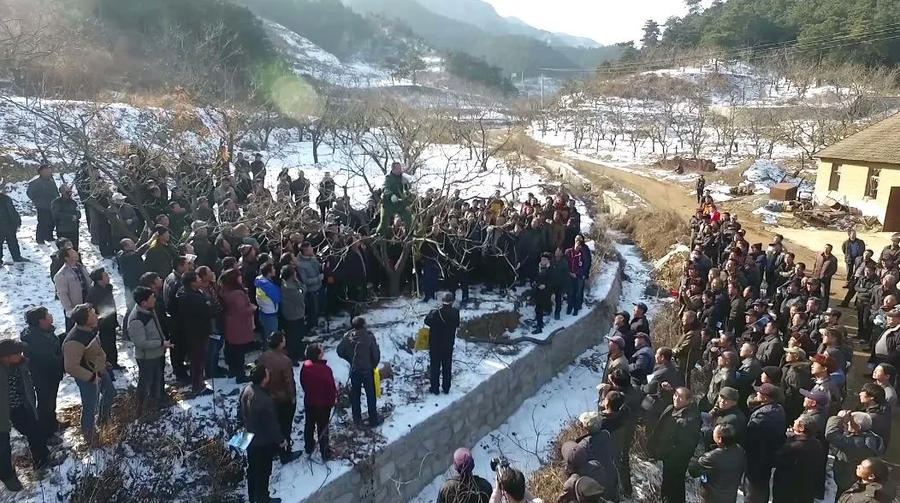 1000095875.png 1000095875.png