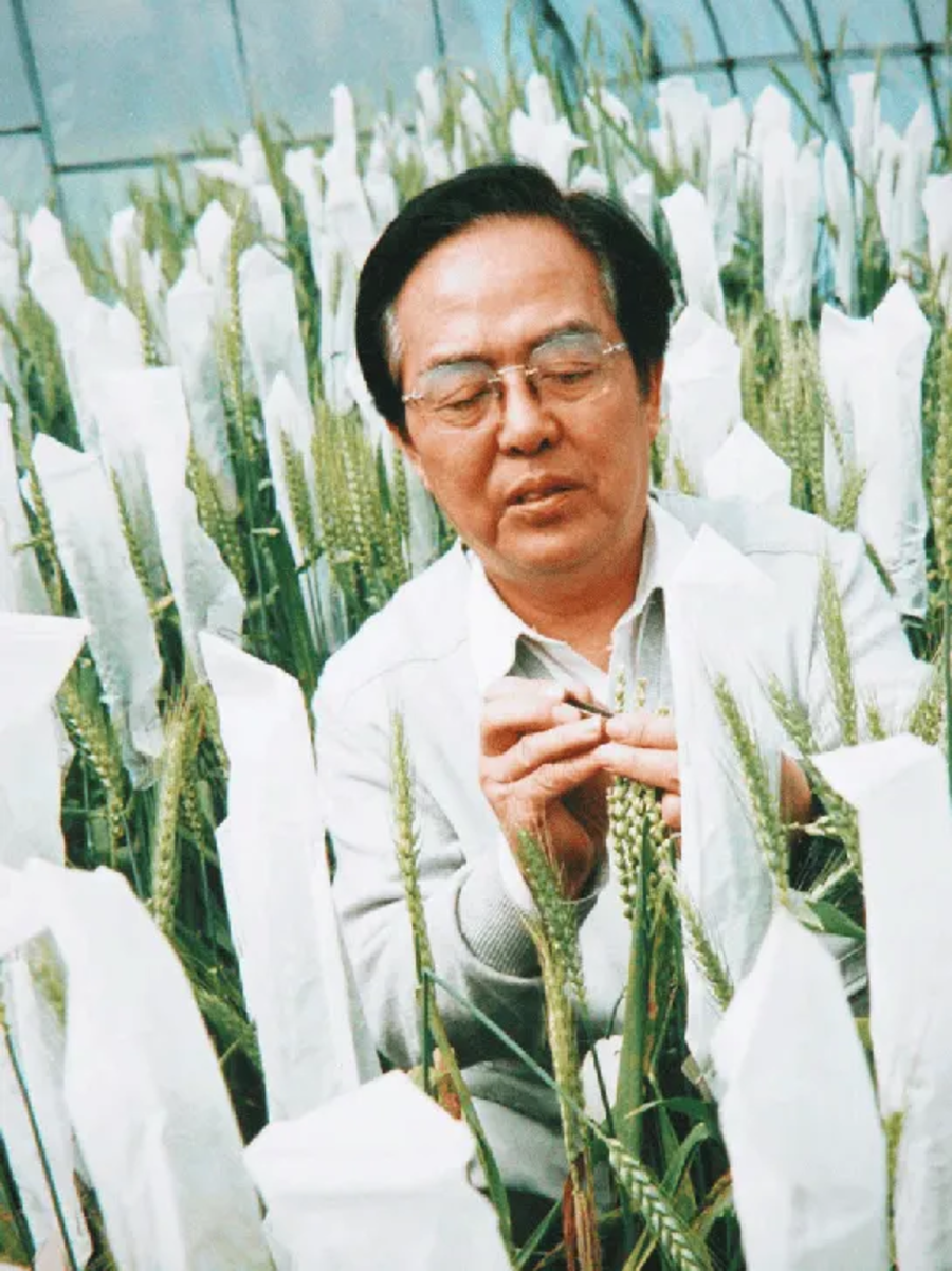 1000096175.png 1000096175.png