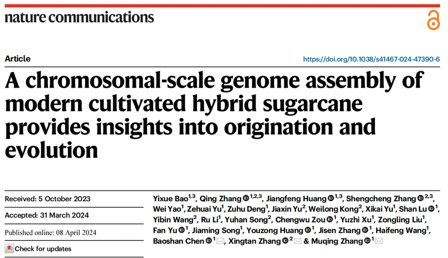 1000096414.png 1000096414.png