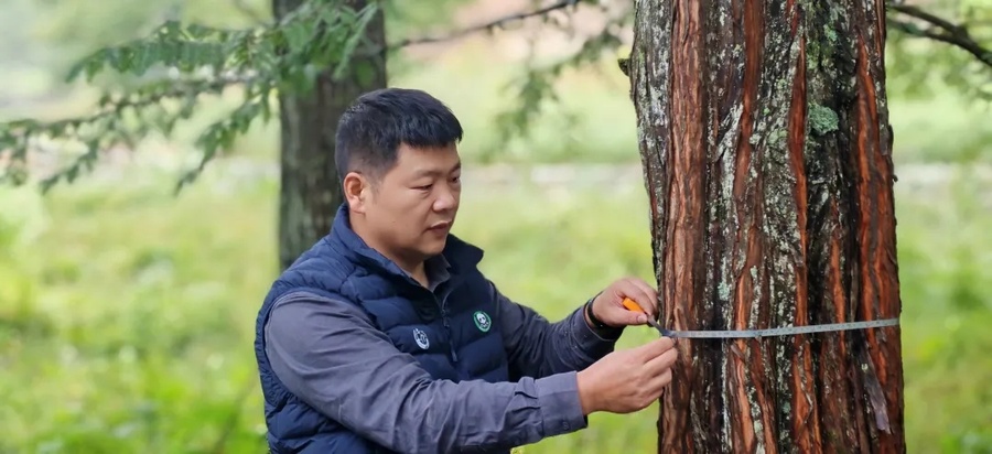 1000098684.jpg 1000098684.jpg