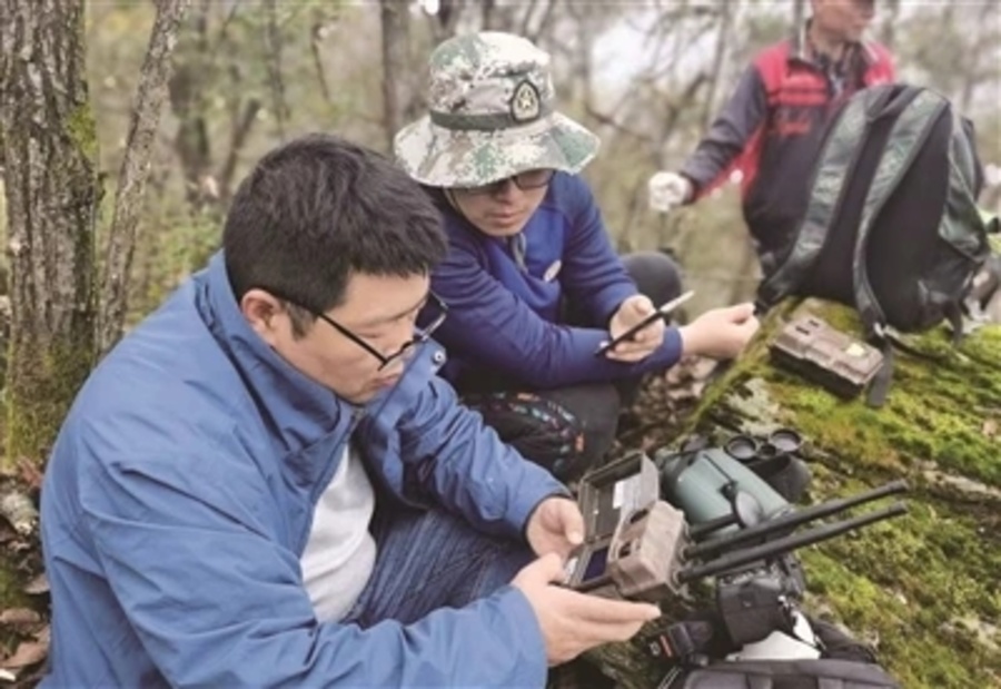 1000098685.jpg 1000098685.jpg