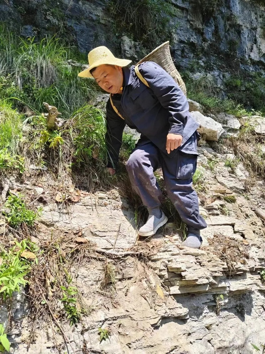 1000098686.jpg 1000098686.jpg