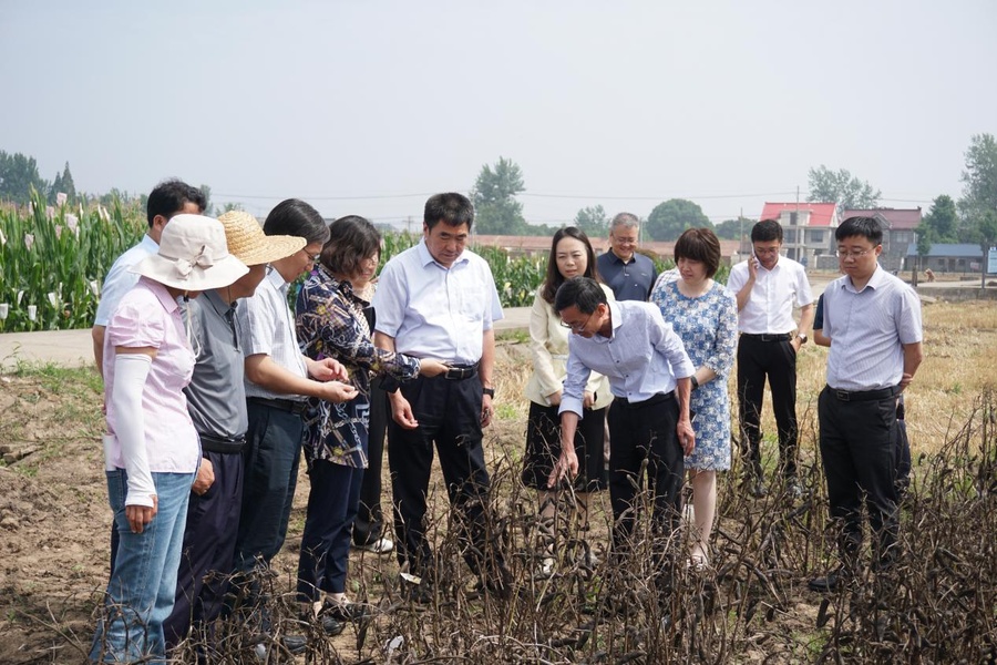 1000102804.jpg 1000102804.jpg