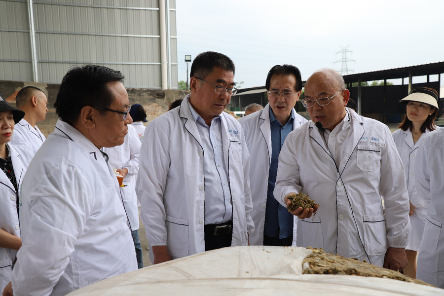 1000102806.png 1000102806.png