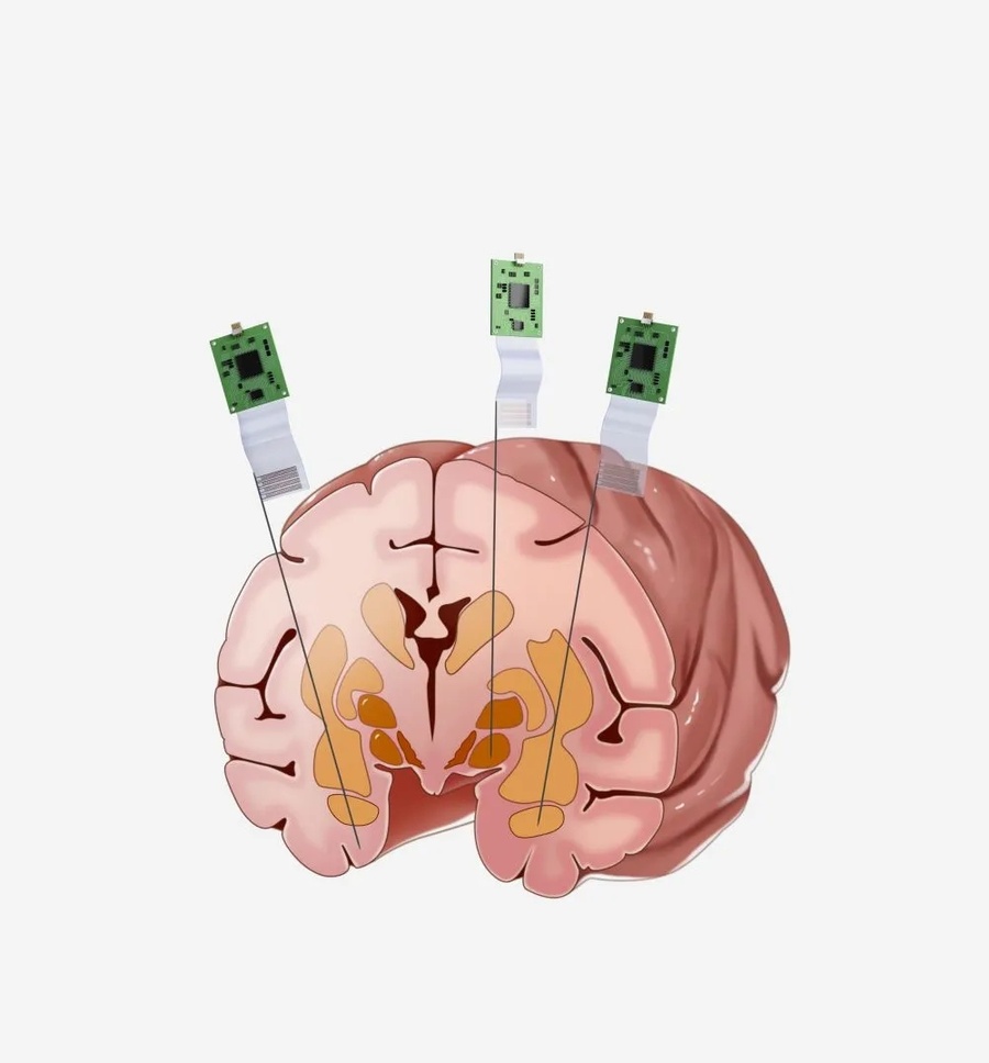 1000104309.jpg 1000104309.jpg