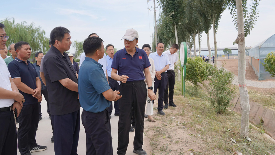 1000111229.jpg 1000111229.jpg