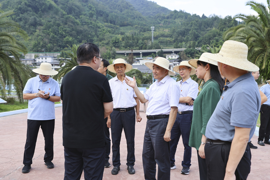 1000119695.jpg 1000119695.jpg