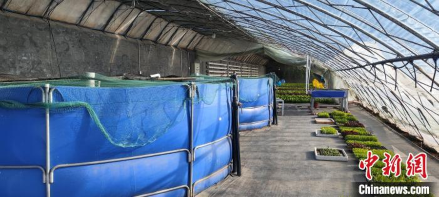 微信图片_20250326165800.png 微信图片_20250326165800.png