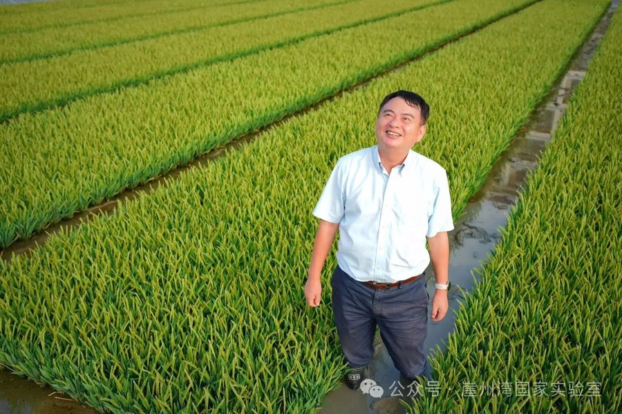 微信图片_20250528111115.jpg 微信图片_20250528111115.jpg