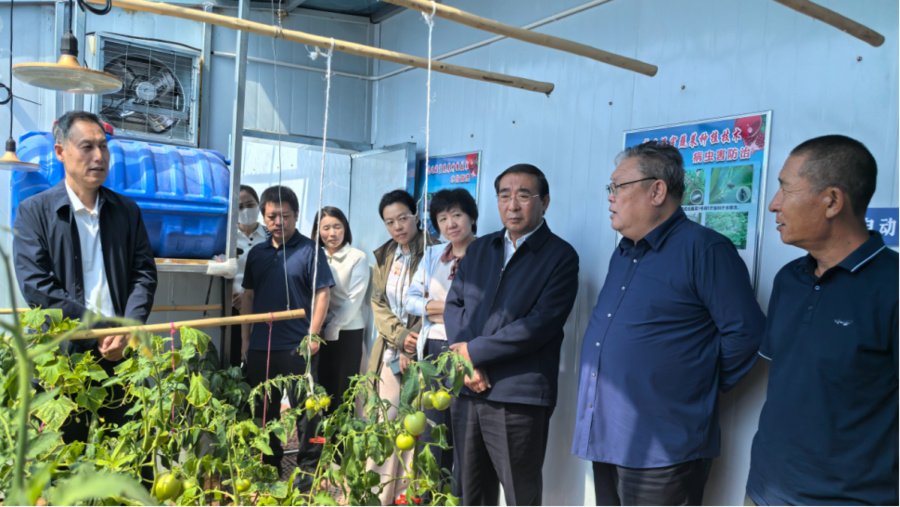 1757247753748.jpg 1757247753748.jpg