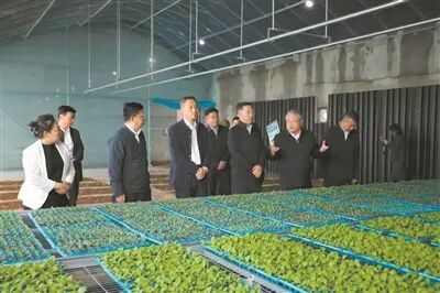 微信图片_2025-10-23_133209_876.jpg 微信图片_2025-10-23_133209_876.jpg