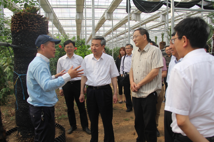 南通市政协九三学社界别就"提升南通市市花菊花花展水平" 开展"有事好